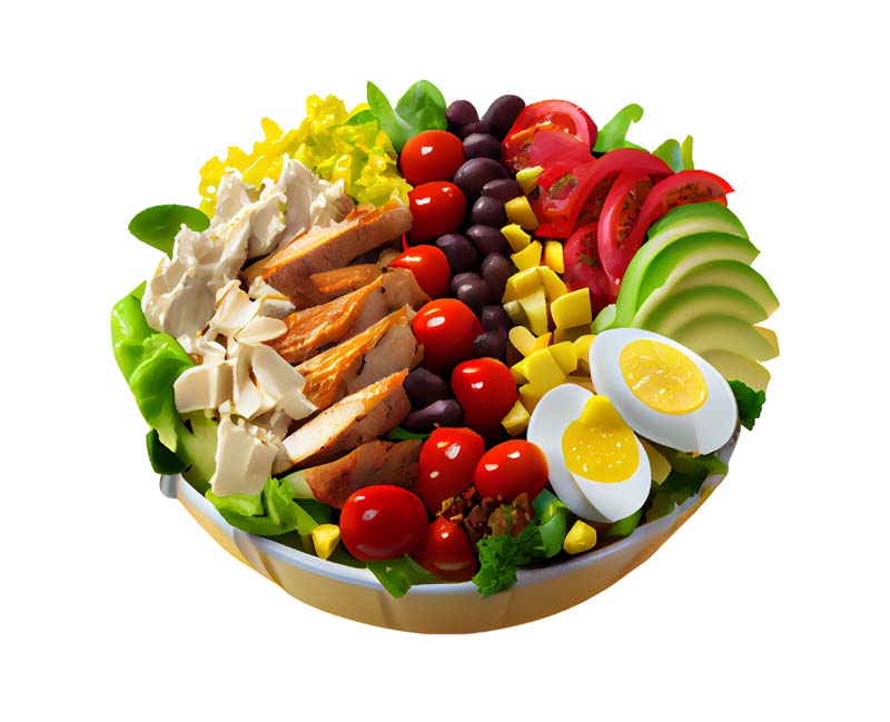 دانلود طرح بشقاب رژیمی