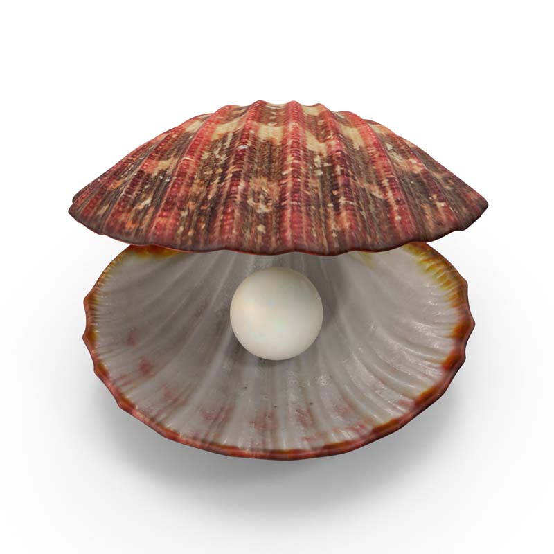 طرح گرافیکی صدف و مروارید