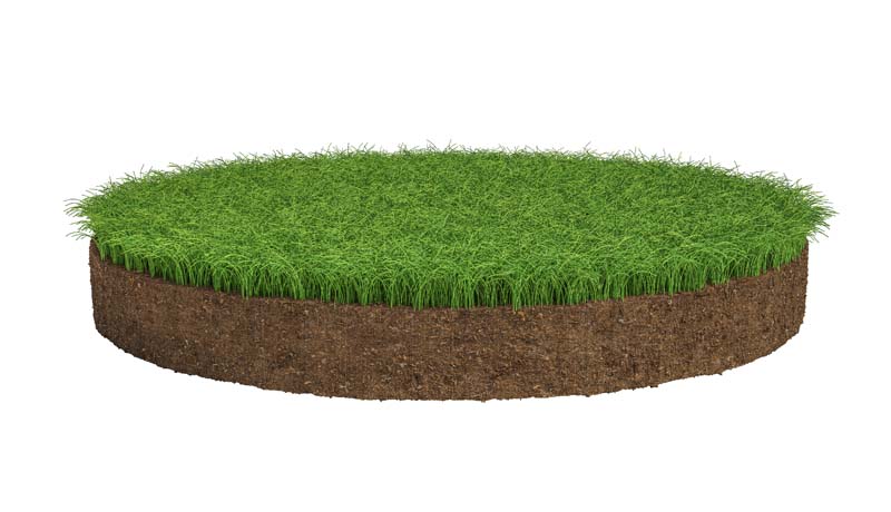 دانلود طرح گرافیکی از چمن