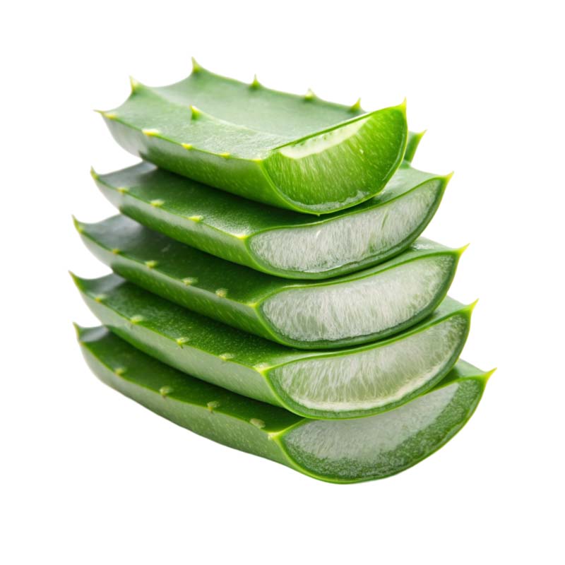 طرح دوربری شده آلوئه ورا