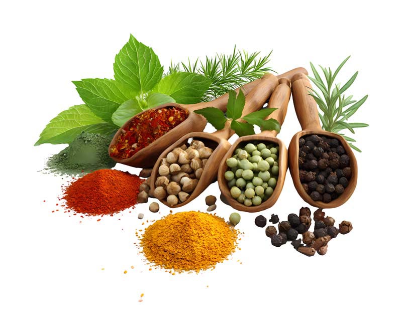 دانلود طرح انواع ادویه