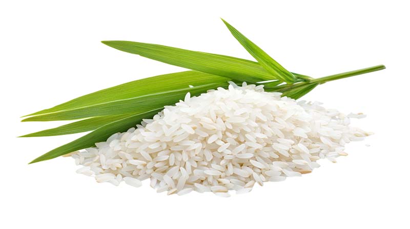 طرح دوربری شده از دانه های برنج