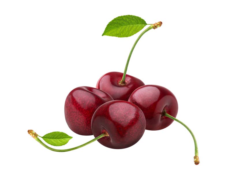 طرح دوربری شده از چهار عدد آلبالو 