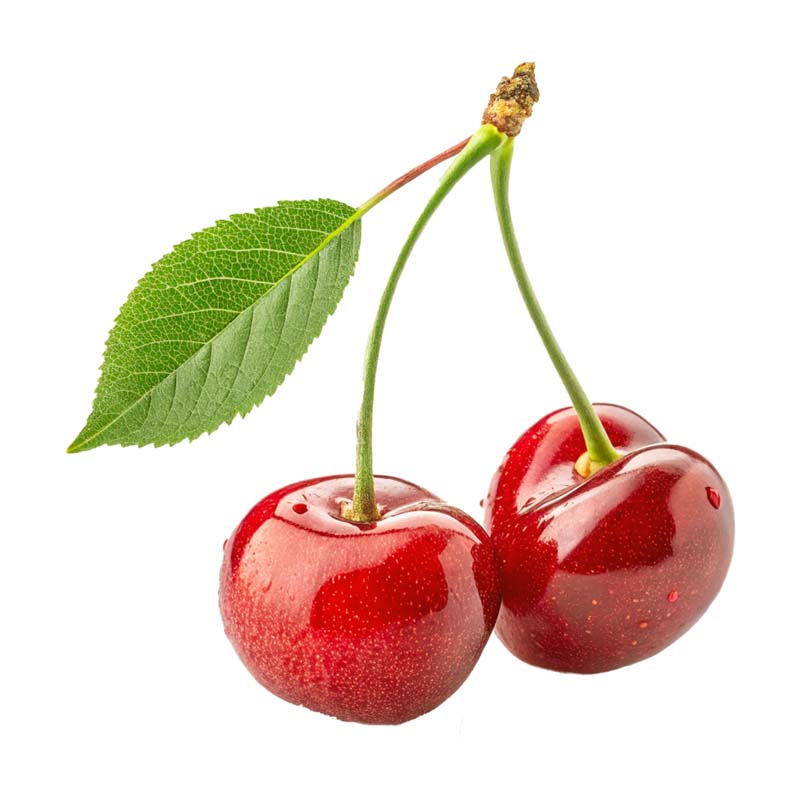 دانلود طرح PNG دو عدد گیلاس با برگ