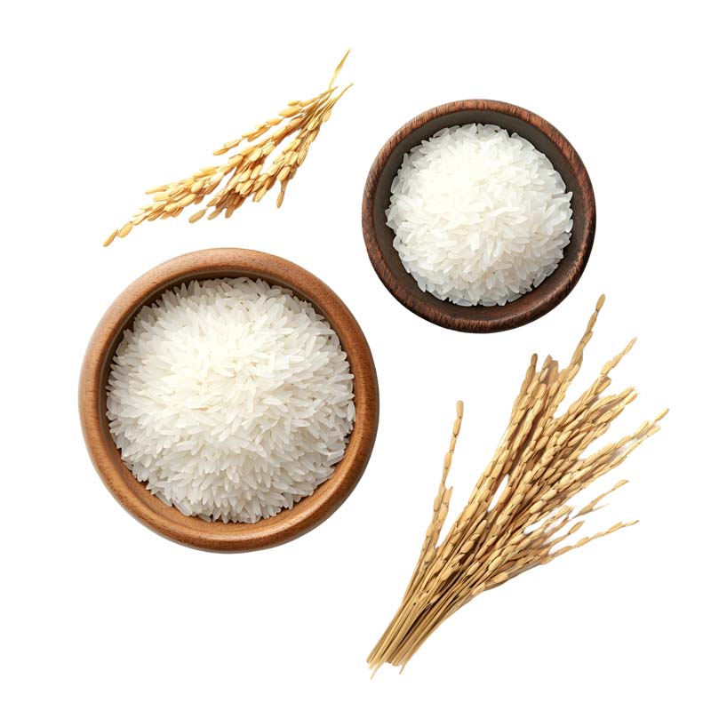 دانلود طرح دو پیاله برنج