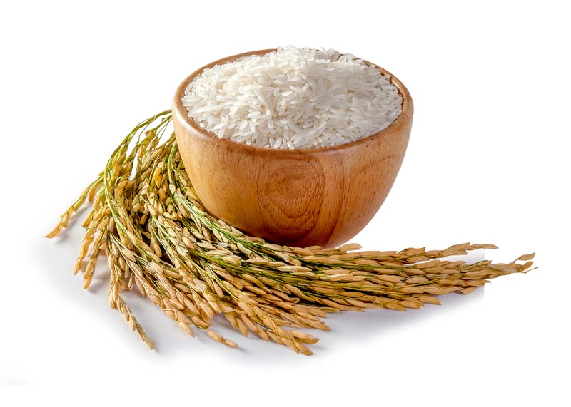 دانلود طرح پیاله برنج با خوشه