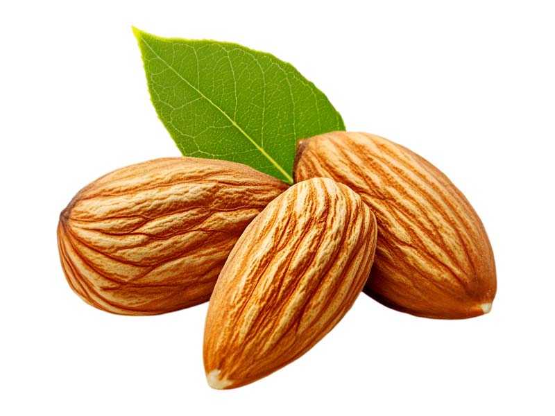 دانلود طرح سه عدد مغز بادام