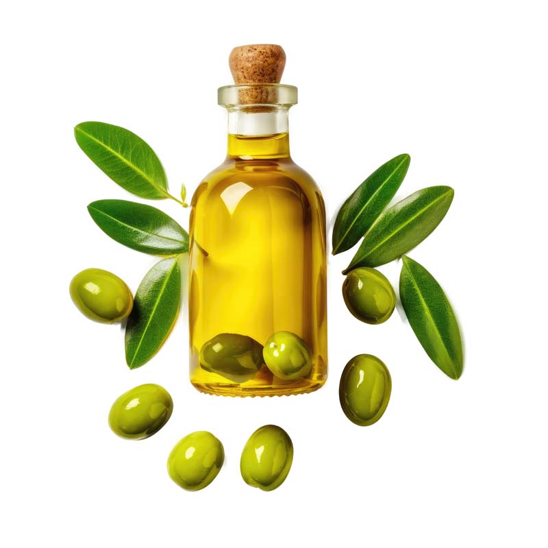 دانلود طرح شیشه روغن زیتون با دانه های زیتون