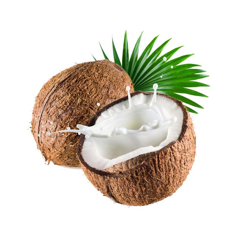 دانلود طرح نارگیل شکسته شده