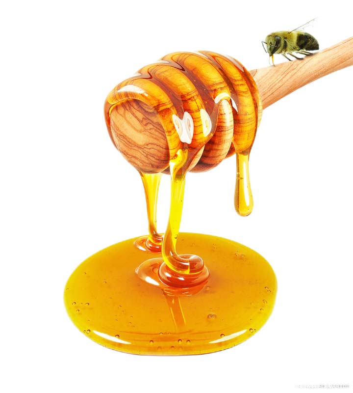 دانلود طرح قاشق عسل و زنبور