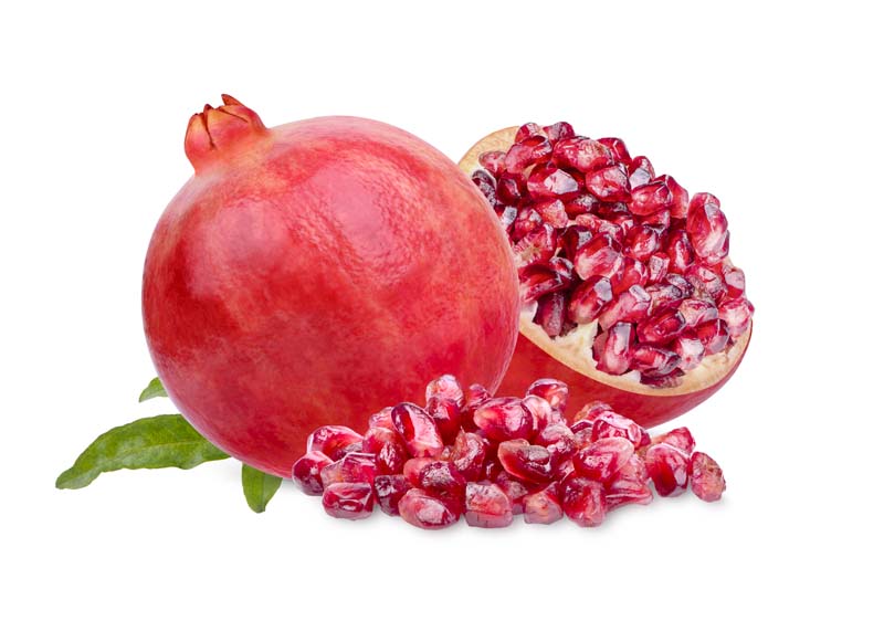 دانلود طرح انار دانه شده