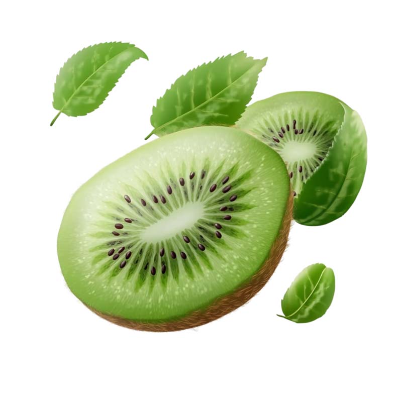 دانلود طرح کیوی حلقه شده با برگ