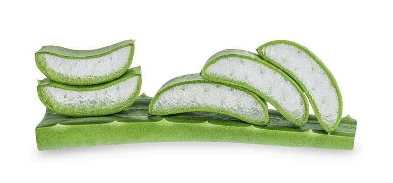 دانلود طرح برش آلوئه ورا