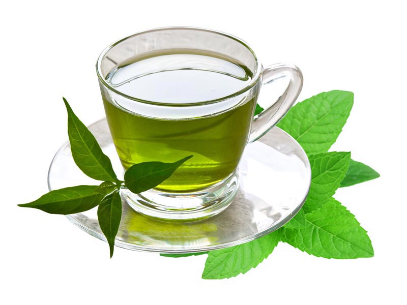 دانلود طرح دمنوش گیاهی