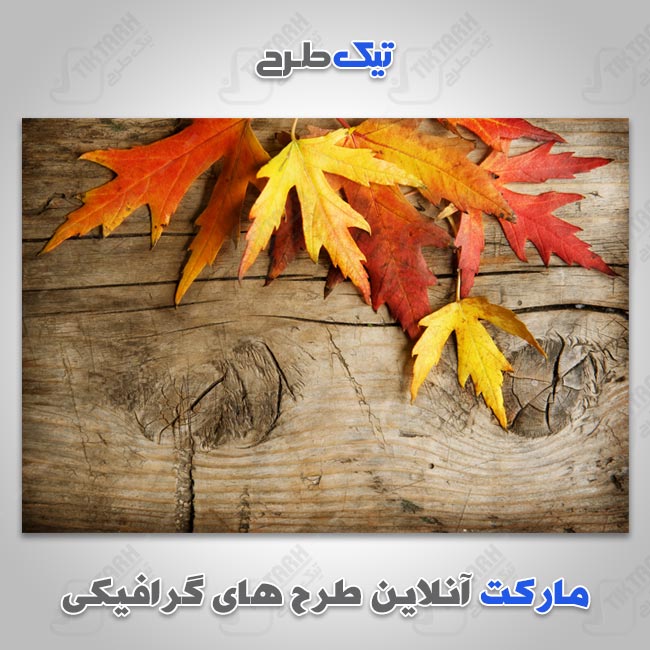 پس زمینه چوپ با طرح برگ خشک