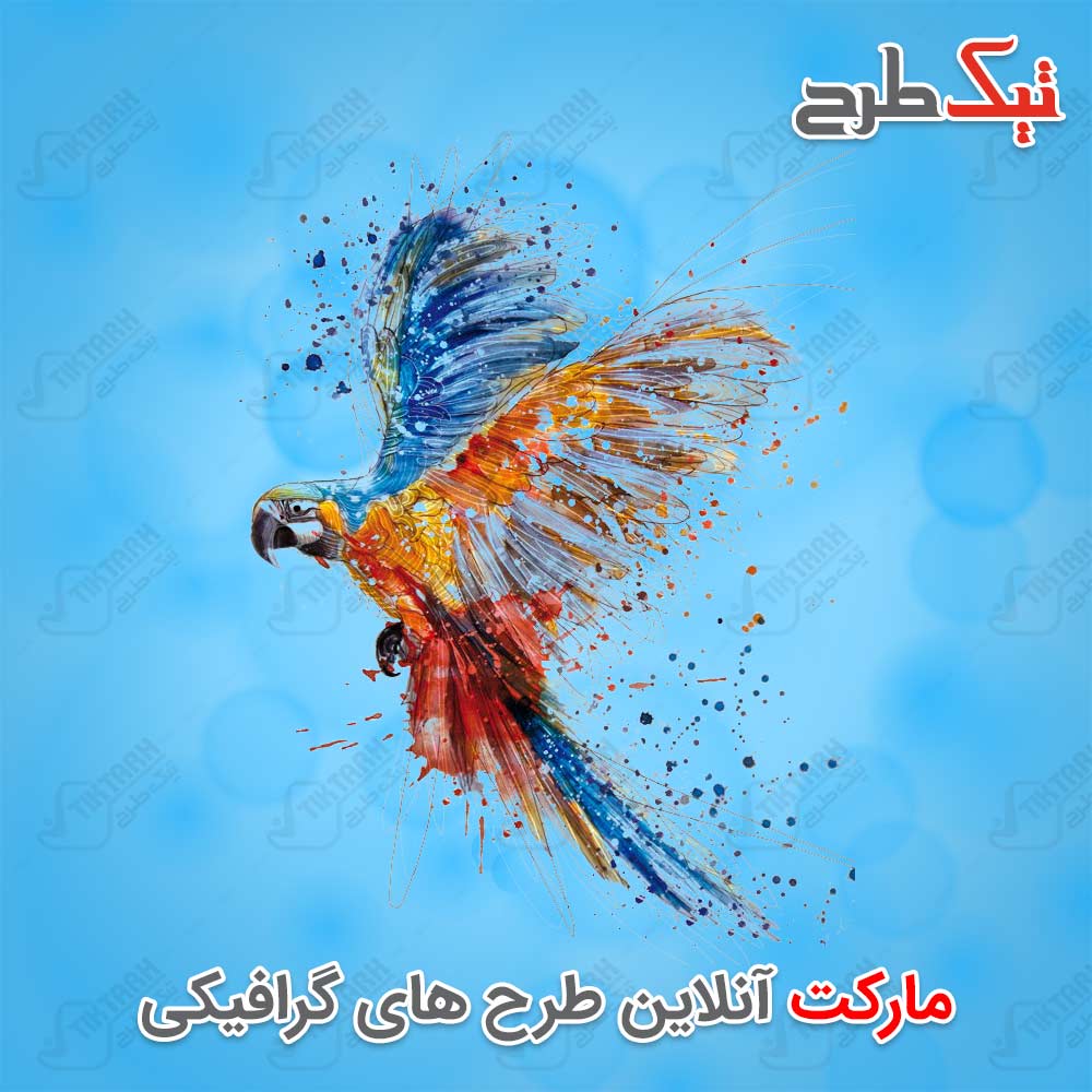 دانلود طرح زیبای طوطی رنگی