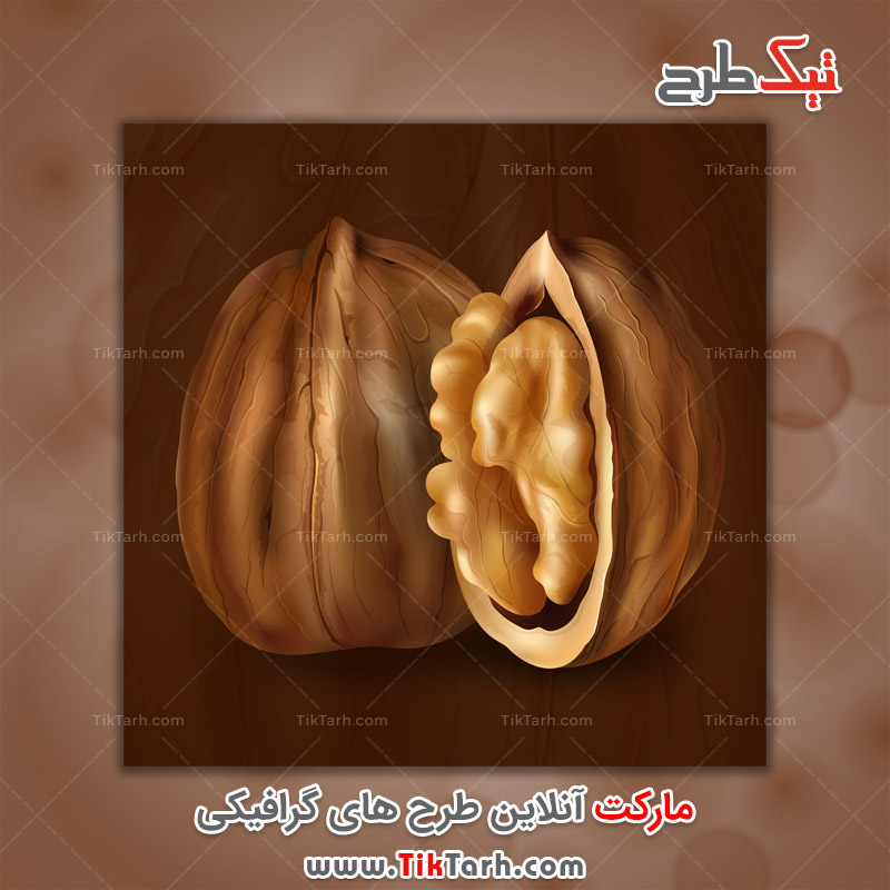 دانلود طرح لایه باز گردو