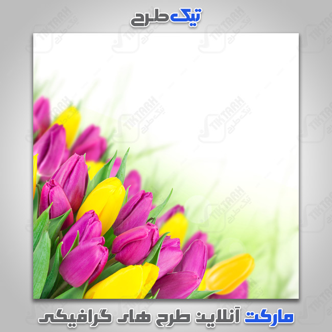 دانلود طرح گرافیکی گل های زرد و بنفش