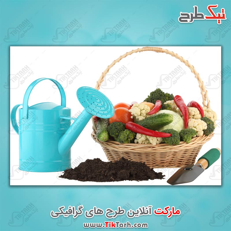 دانلود عکس صیفی جات و لوازم باغبانی