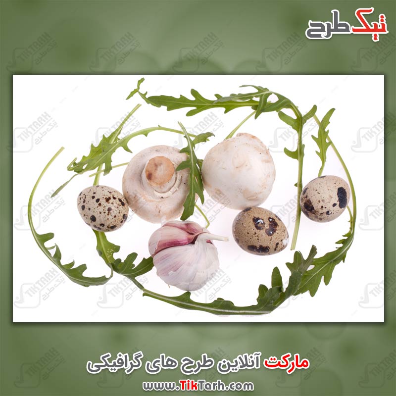 دانلود عکس قارچ خوراکی