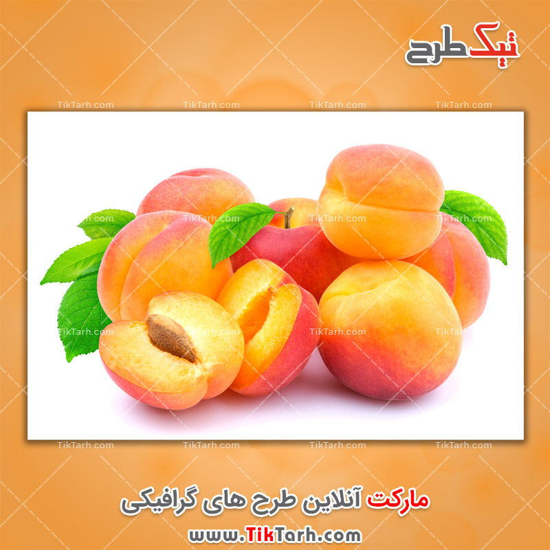 تصاویر لارج فرمت زردآلو