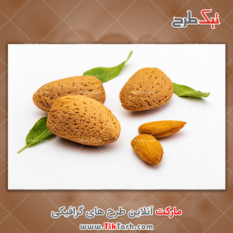 عکس لارج فرمت بادام درختی