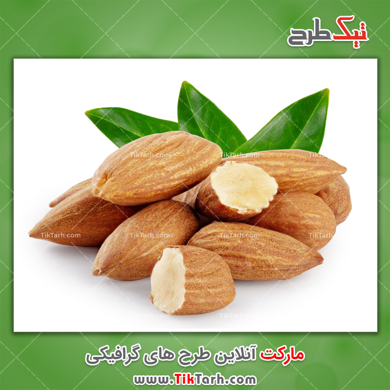 تصویر با کیفیت برگ و مغز بادام