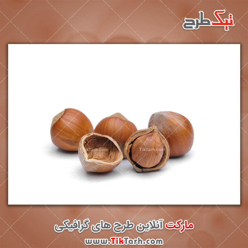تصویر با کیفیت فندق با پس زمینه سفید