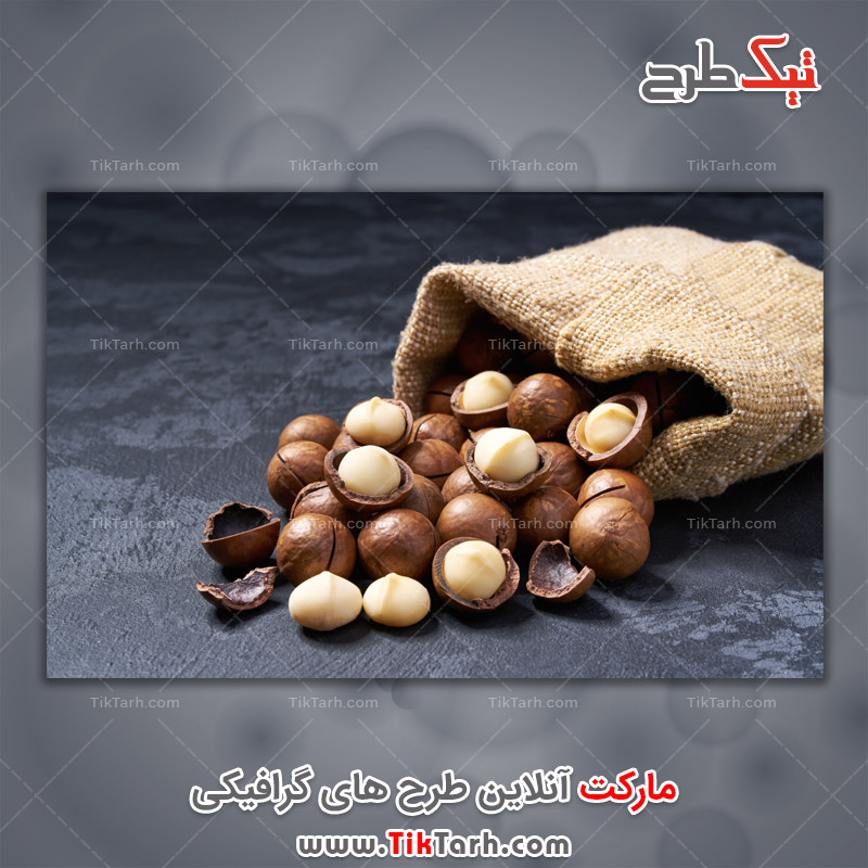 دانلود عکس زیبای گونی فندق با پوست