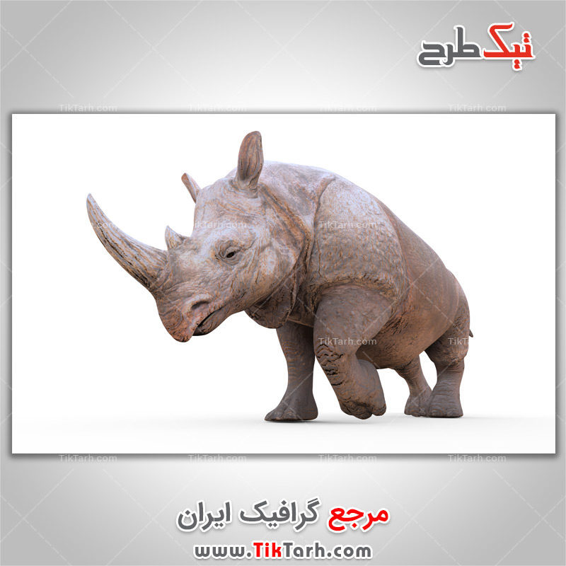 دانلود عکس لارج فرمت کرگدن سفید شمالی
