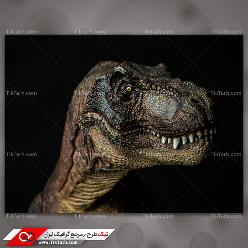 تصویر لارج فرمت دایناسور شرزه