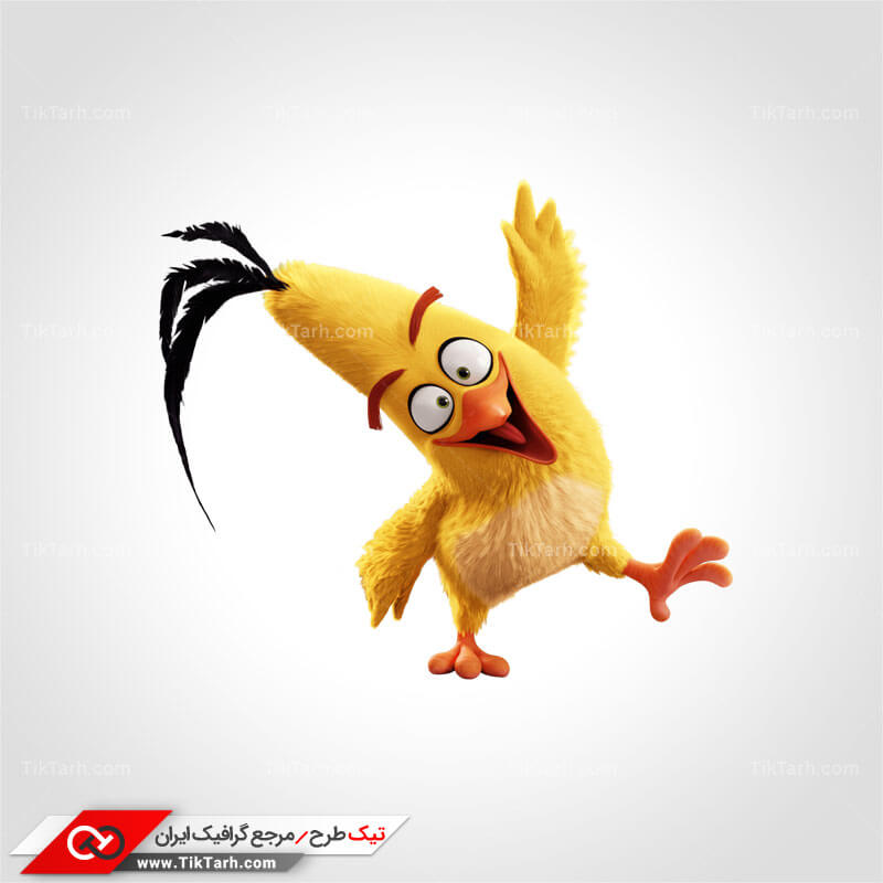 دانلود طرح لایه باز پرنده چاک
