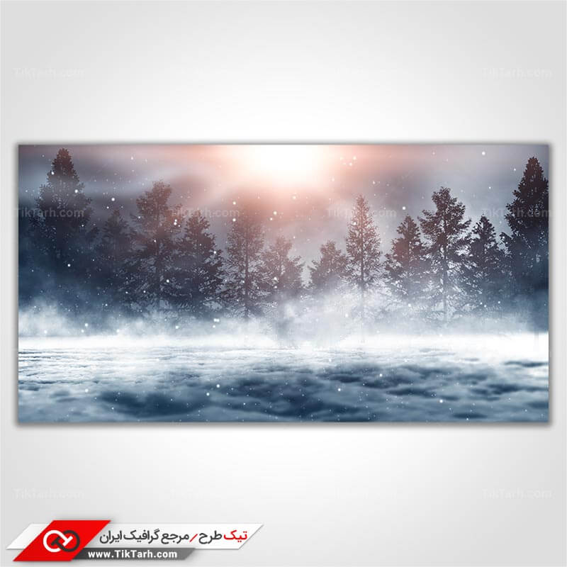 تصویر با کیفیت جنگل برفی و مه آلود