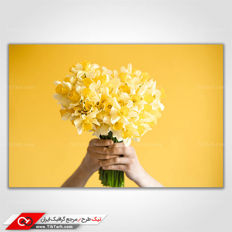 دانلود تصویر با کیفیت دسته گل نرگس