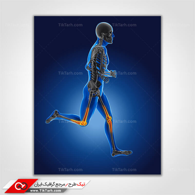 دانلود تصویر با کیفیت درد زانو