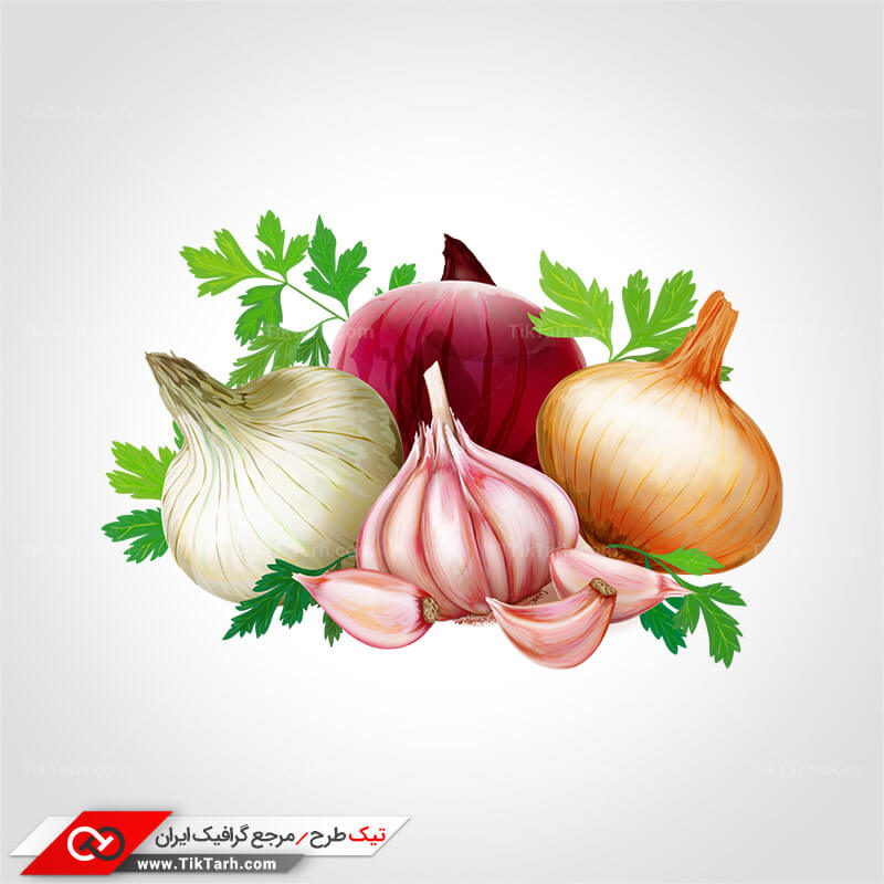 طرح گرافیکی کلیپ آرت پیاز و سیر