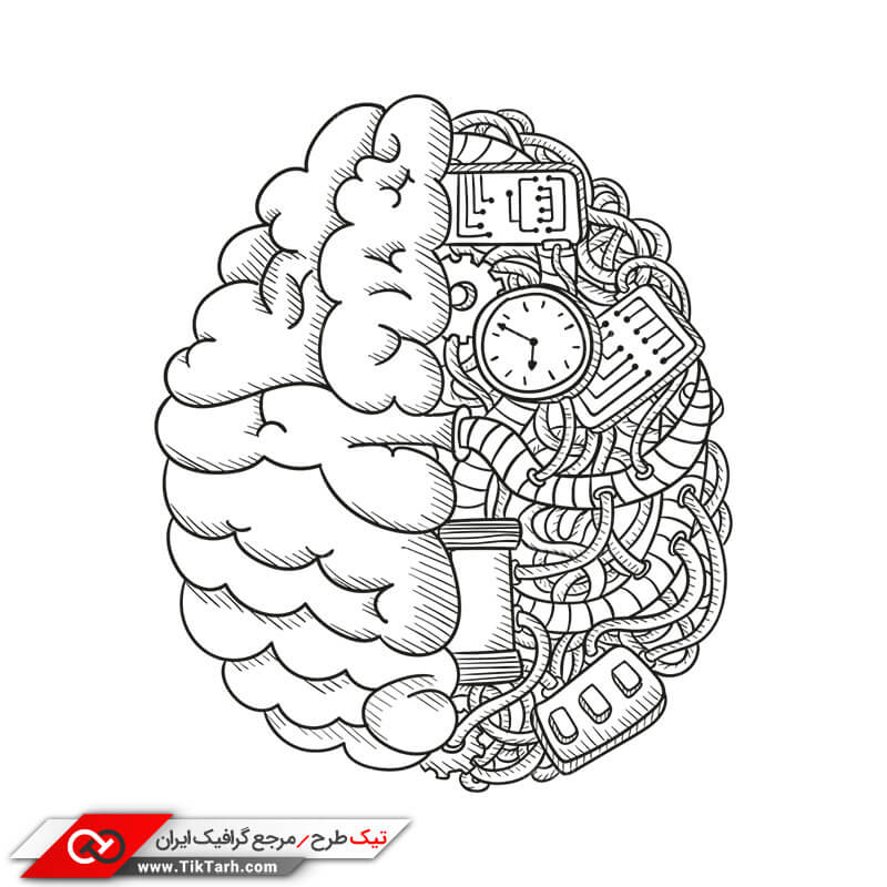 دانلود کلیپ آرت لایه باز مغز