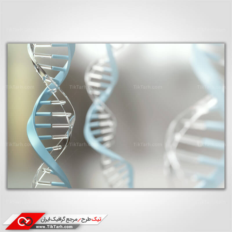 دانلود عکس با کیفیت کروموزوم