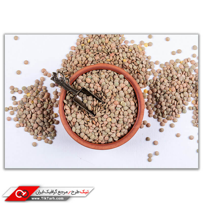 تصویر با کیفیت عدس