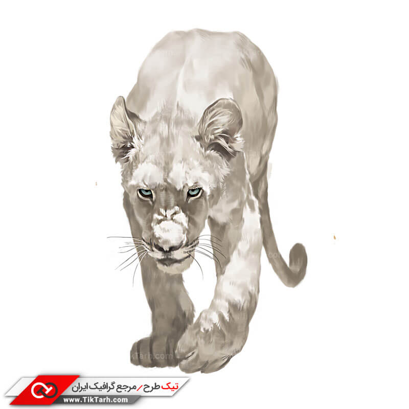 طرح کلیپ آرت شیر ماده