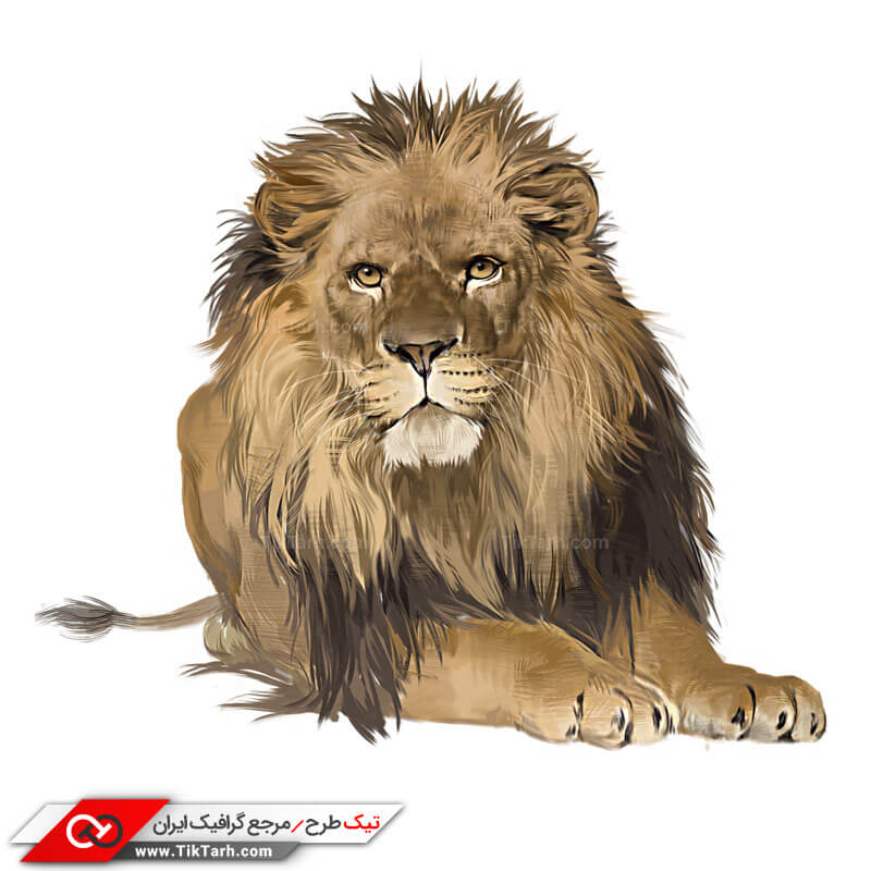 طرح کلیپ آرت شیر جنگل
