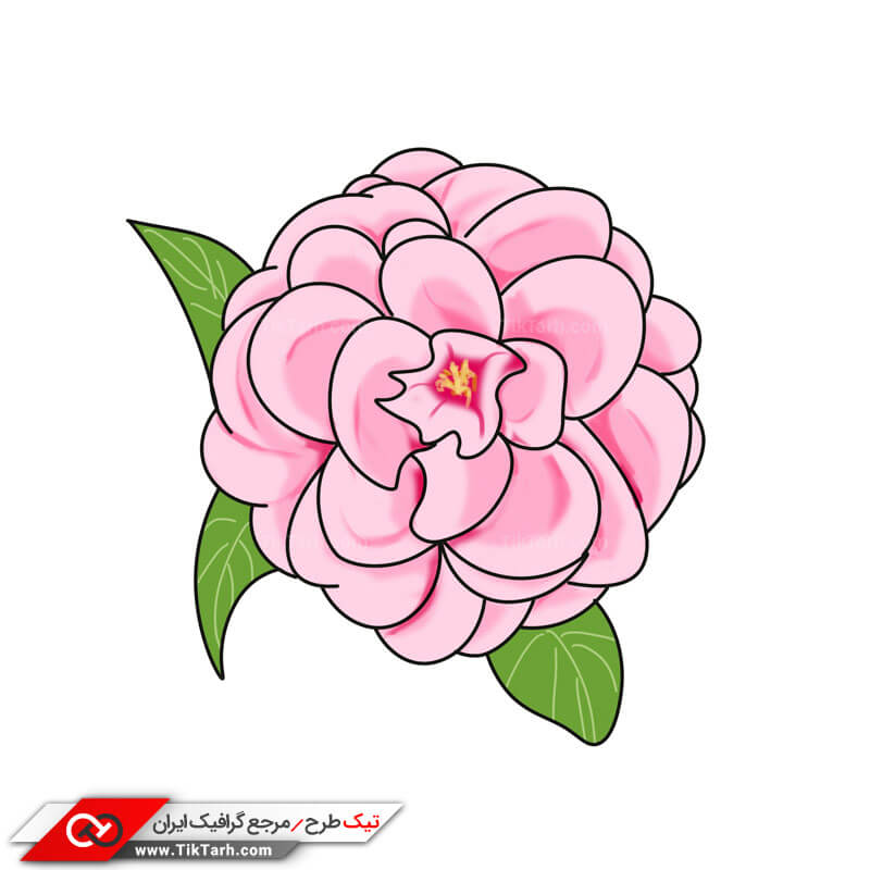 طرح کلیپ آرت گل صورتی با گلبرگ های فراوان