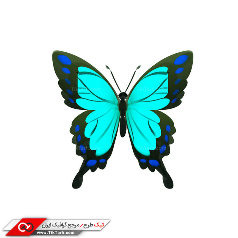طرح کلیپ آرت پروانه آبی