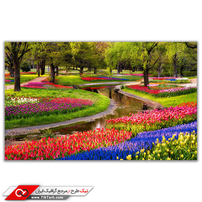 تصویر باکیفیت باغ پرورش گل