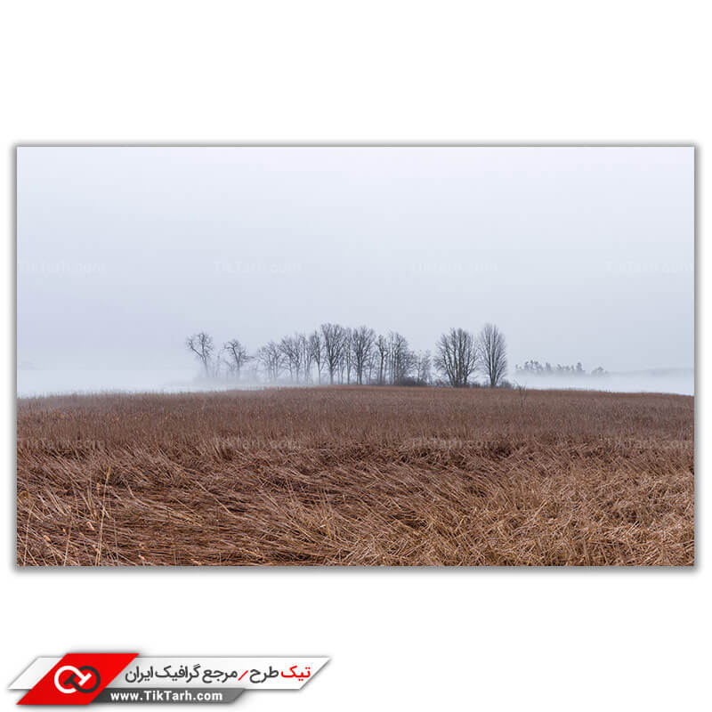 تصویر باکیفیت علفزار خشک