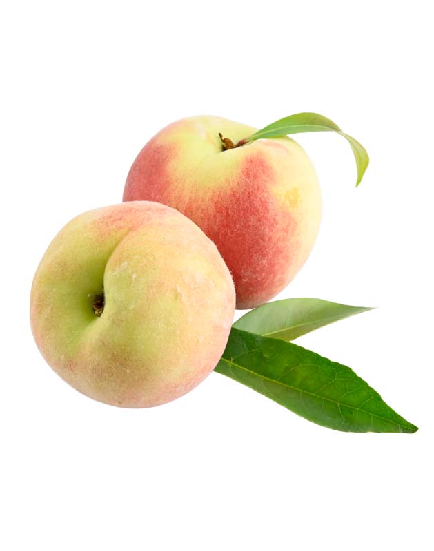 طرح دو هلو با برگ