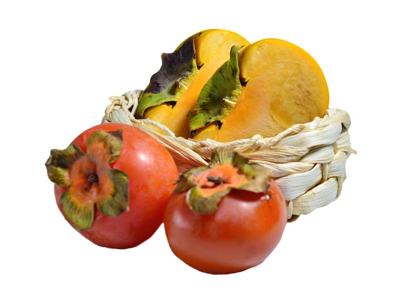طرح باکیفیت خرمالو