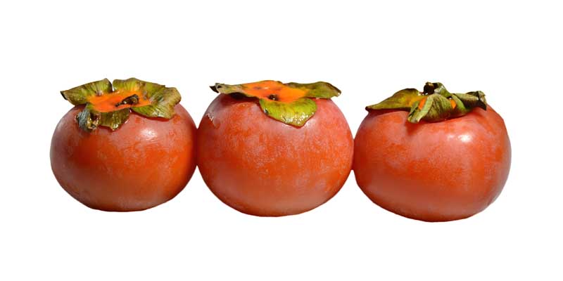 طرح گرافیکی خرمالو