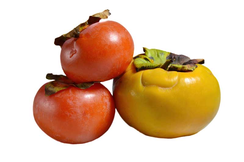 دانلود طرح گرافیکی خرمالو