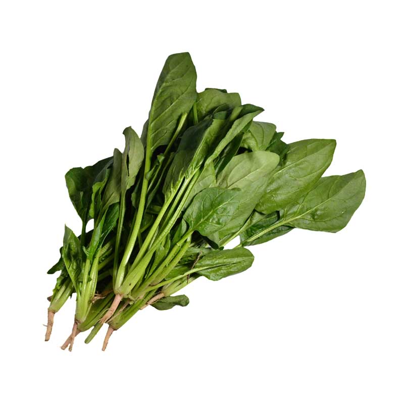 طرح با کیفیت سبزی اسفناج